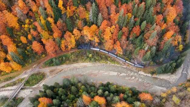 Top 5 Autumn Destinations on the American West Coast - Fall Travel Guide