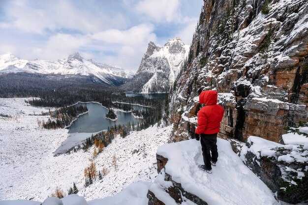 Best Winter Activities in Grindelwald and Interlaken: Sledding, Snowshoeing, and Cable Cars