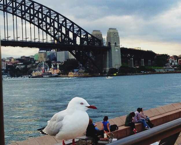 Top Adrenaline Activities in the Sydney Surrounds