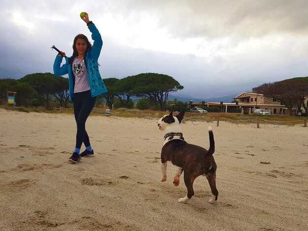 Entry requirements and health documents for dogs by country