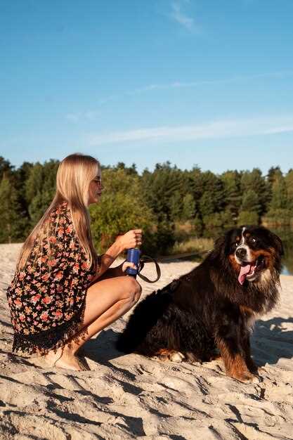 Top Dog-Friendly Travel Destinations for Your Dog