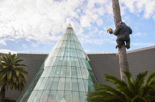 Top Observation Platforms in Dubai: Experience the Skyline Like Never Before