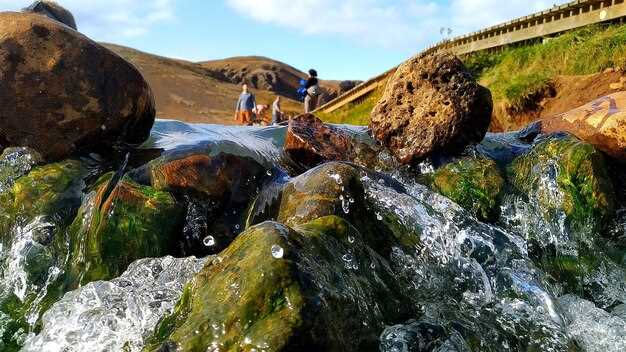 Top Things to Do in Kerry: Explore, Eat, and Drink Your Way Through Ireland's Scenic Gem