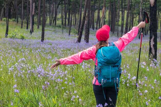 Top Things to Do in Langenlois in March: Discover the Best Activities