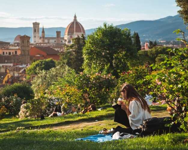 Trevi Guided Tour and Olive Oil Tasting at Frantoio Gaudenzi