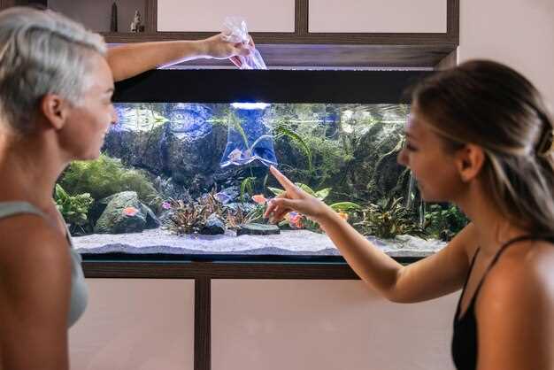 Ultimate Combo Ticket for Science Museum, L'Oceanogràfic & Hemisférico in Valencia
