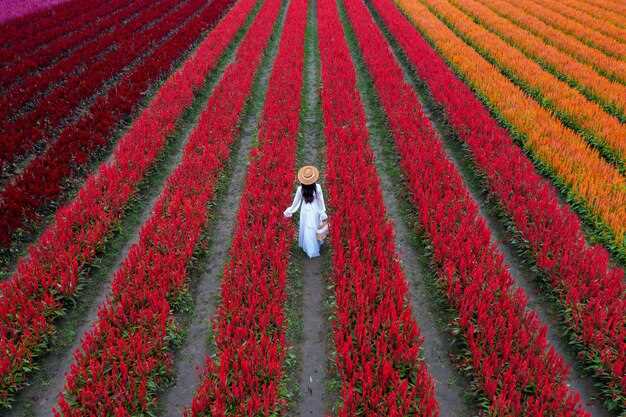 Ultimate Guide to Keukenhof Gardens Tulips 2025-2026: Tips, Highlights & Travel Info