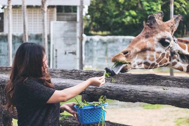 Ultimate Guide to Singapore Zoo Entry Tickets