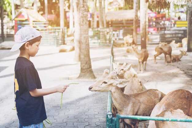 Ultimate Guide to Singapore Zoo Entry Tickets: Prices, Tips, and Booking Information