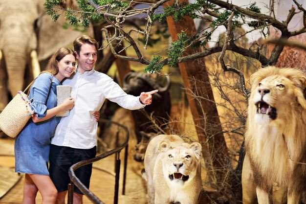 Best Time to Visit for Wildlife Viewing