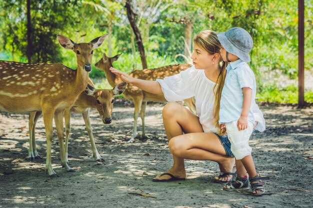 Ultimate San Diego Zoo Safari Park Review: Tips for a Memorable Visit
