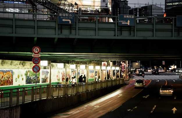 Accessibility and safety: pace, mobility considerations, and crowd management