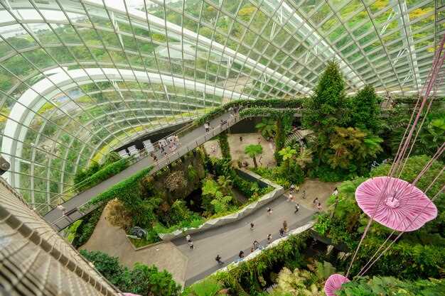 UNESCO World Heritage: Explore the Botanical Garden of Singapore