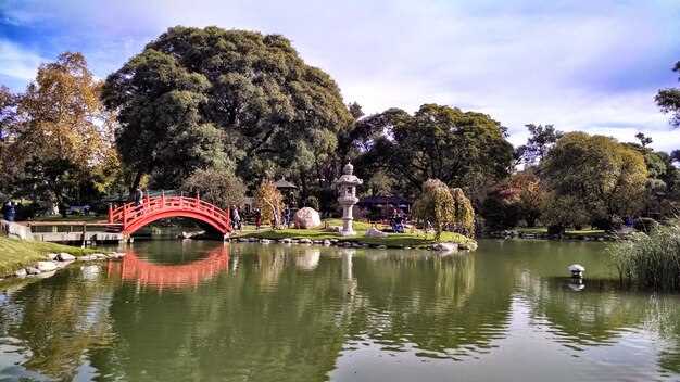 Understanding Monet's Artistic Vision Through the Gardens