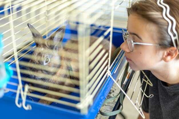 Practical Insights for Real-World Filtration