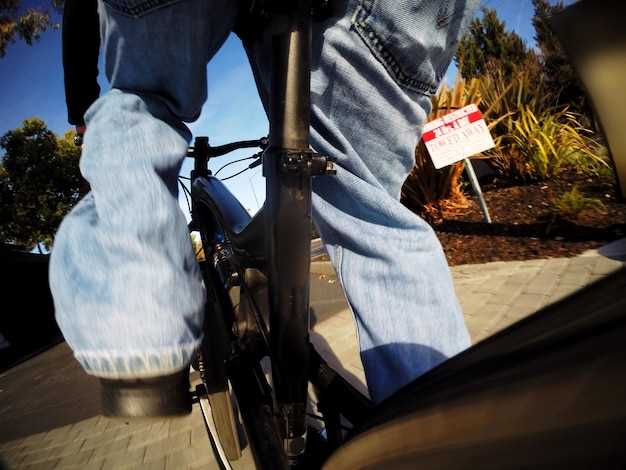 Wildfinder Pencarrow Bicycle Store Reviews - Lower Hutt, Wellington
