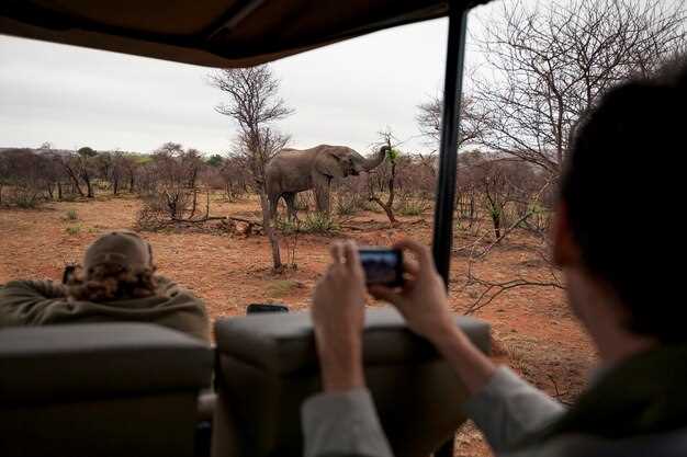 Wildlife Safari – The Ultimate Guide to Epic Encounters