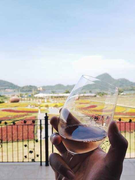 Wine Tasting in Cape Town: A Local's Guide