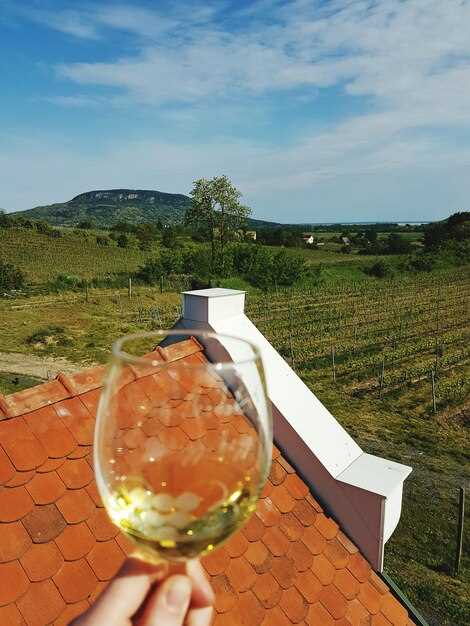 Wine Tasting Tours in Italy – Guided Trips to Vineyards and Wine Regions