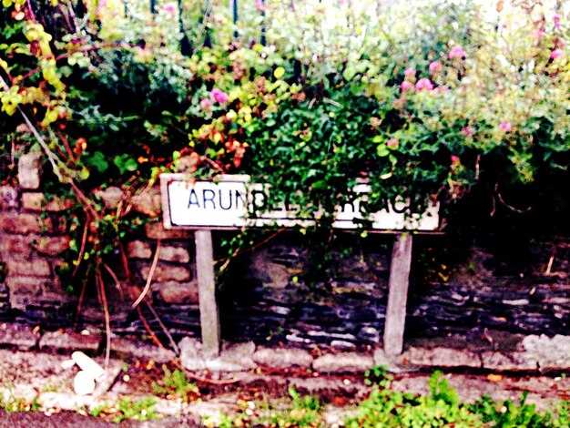 Woodside Filoli Historic House and Garden Entry Ticket Woodside Filoli Historic House and Garden Entry Ticket
