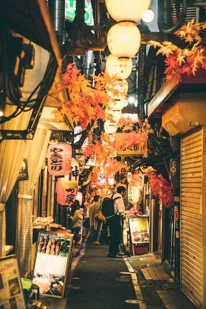 Practical Itinerary and Tasting Plan for Yanaka
