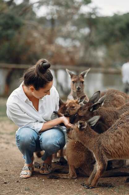 Your Ultimate Guide to Exploring Kangaroo Island: Top Attractions, Tips, and Itinerary