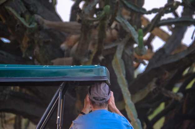 Your Ultimate Guide to Florida's Zoos, Refuges, and Preserves