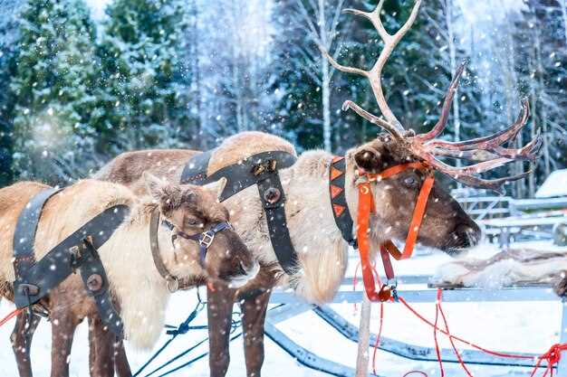 Bezienswaardigheden die u niet mag missen in het park