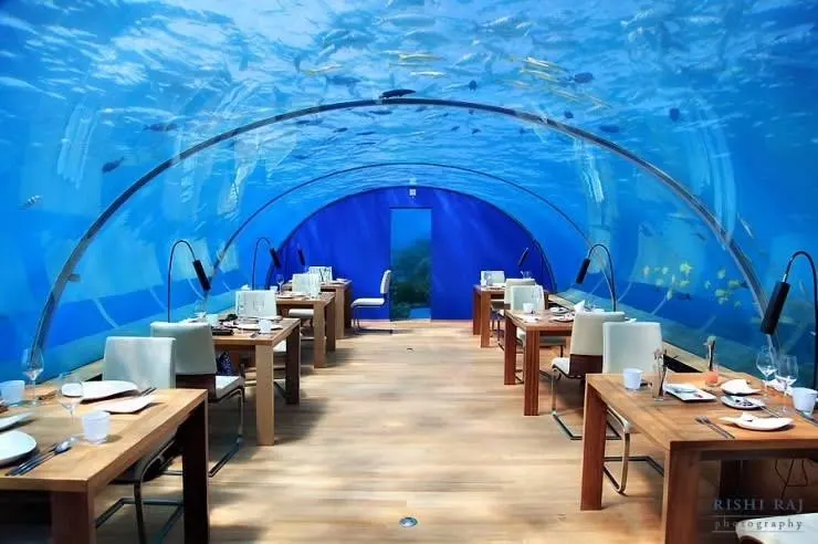 Unique Dining Experiences Luxury Travelers Will Seek in 2025