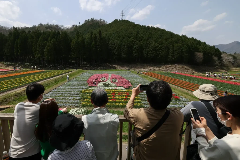 Japan Sees A Record 3.9 Million Tourists in April, Thanks to Cherry Blossoms and Yen Appeal