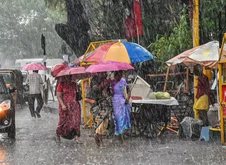 Ooty’s Tourist Attractions Temporarily Closed Amid Heavy Rain