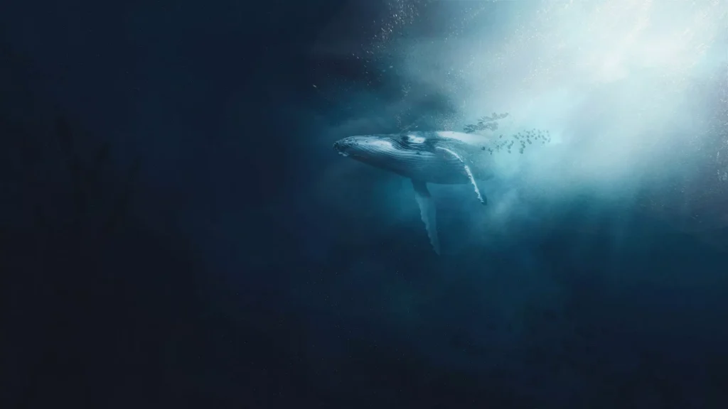 Transformative Power of Whale Songs on Tourist Perspectives Towards Ocean Conservation