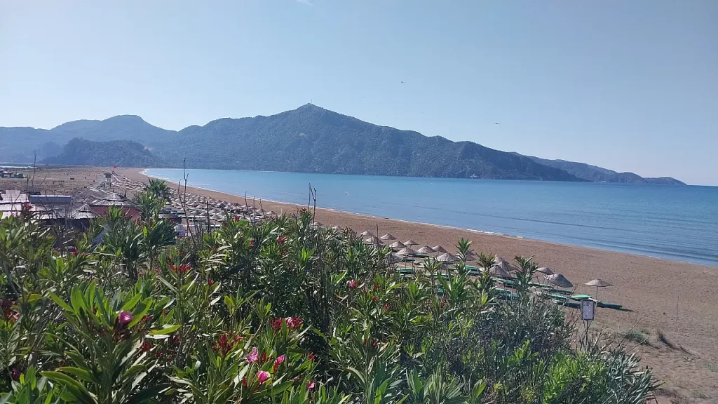 Highlights from Fethiye: Local Events and Community Initiatives