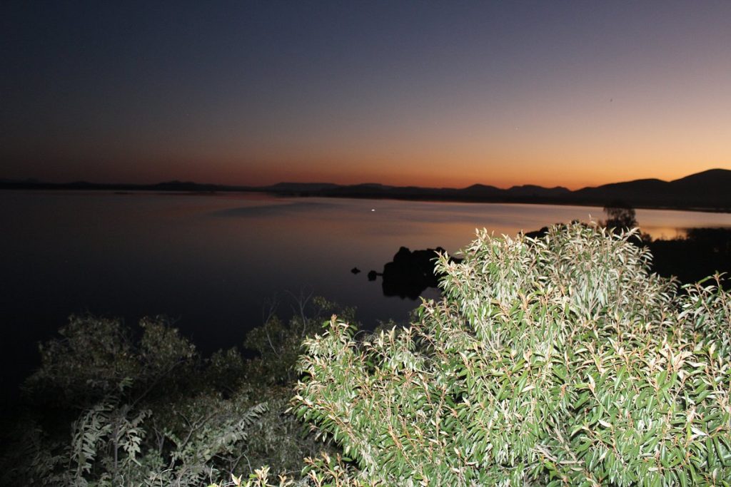 Gaborone Dam in Botswana: Harmonizing Wildlife Safety and Tourism