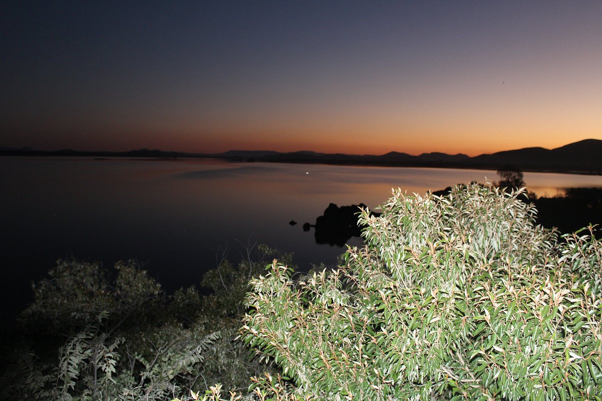 Gaborone Dam in Botswana: Harmonizing Wildlife Safety and Tourism