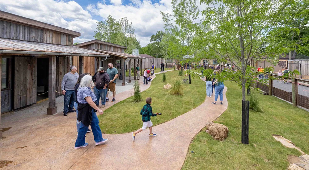 Explore the Wonderful Wallaby Walkabout and Butterfly House at Creation Zoo