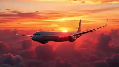 Airlines Likely to Report Record Profits in 2025 as Travel Demand Rises
