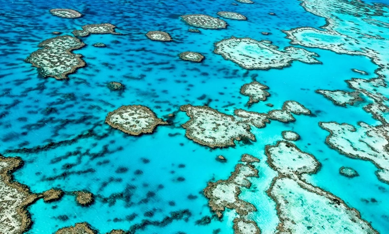 Australia’s Tourism Sector Set for Significant Economic Contributions by 2025
