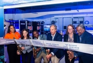 Bahamas Enhances Coral Reef Conservation Efforts