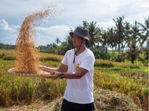 Discovering Purpose-Driven Travel through Rice Farming