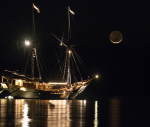 Unforgettable Sustainable Journeys with Silolona Sojourns on World Ocean Day