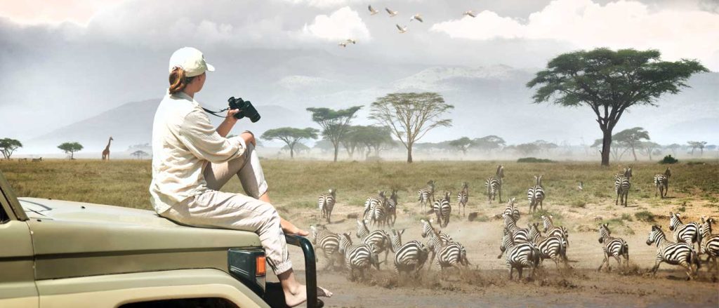 Tailored Tanzania Safari Adventures: A Guide to Exploring Serengeti, Ngorongoro, and Zanzibar