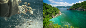 Costa Rica’s Innovative Steps Towards Ocean Conservation