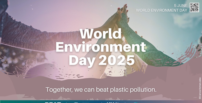 Taking Action Against Plastic Pollution for a Greener Future