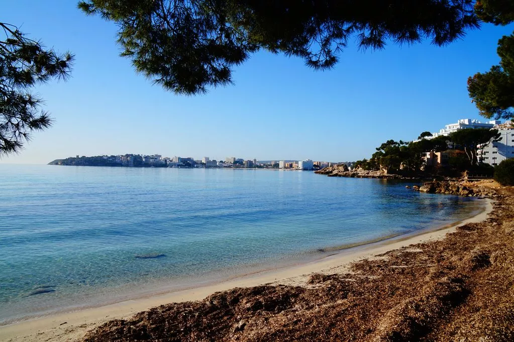 Important Travel Documents for Your Upcoming Trip to Spain