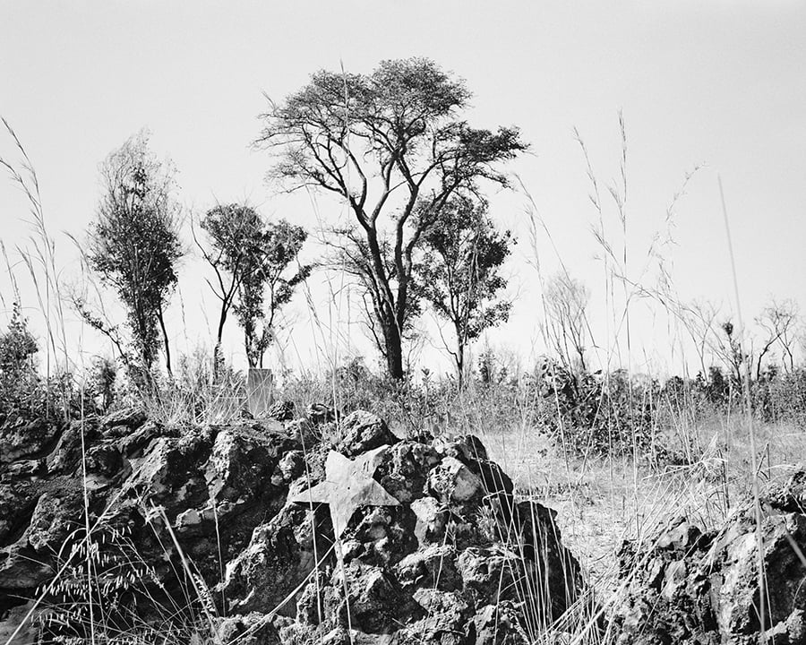 A Dialogue on Memory and Landscape in South African Photography