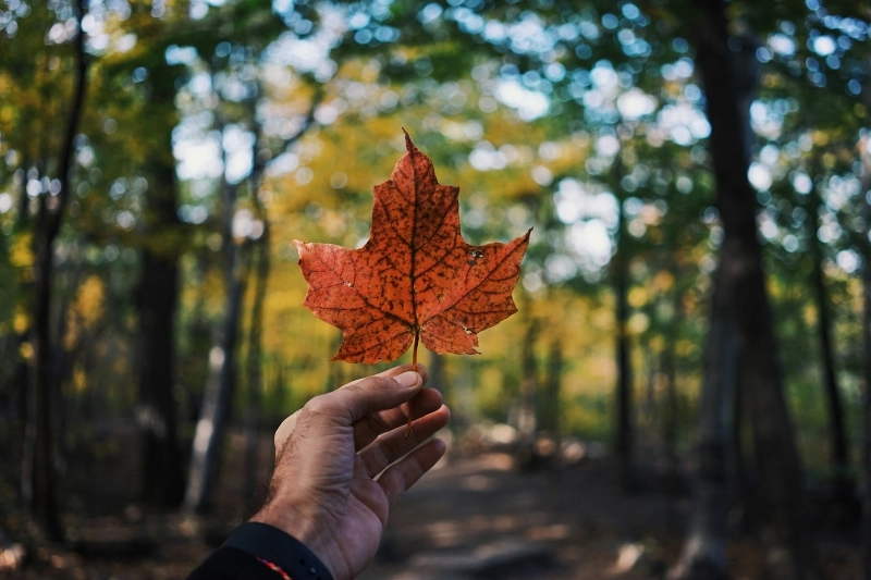 The Growth of Canada’s Tourism Sector: A Bright Outlook Ahead