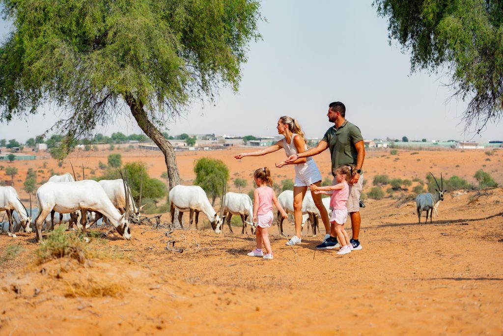 Explore the Sustainable Tourism Initiatives of Ras Al Khaimah