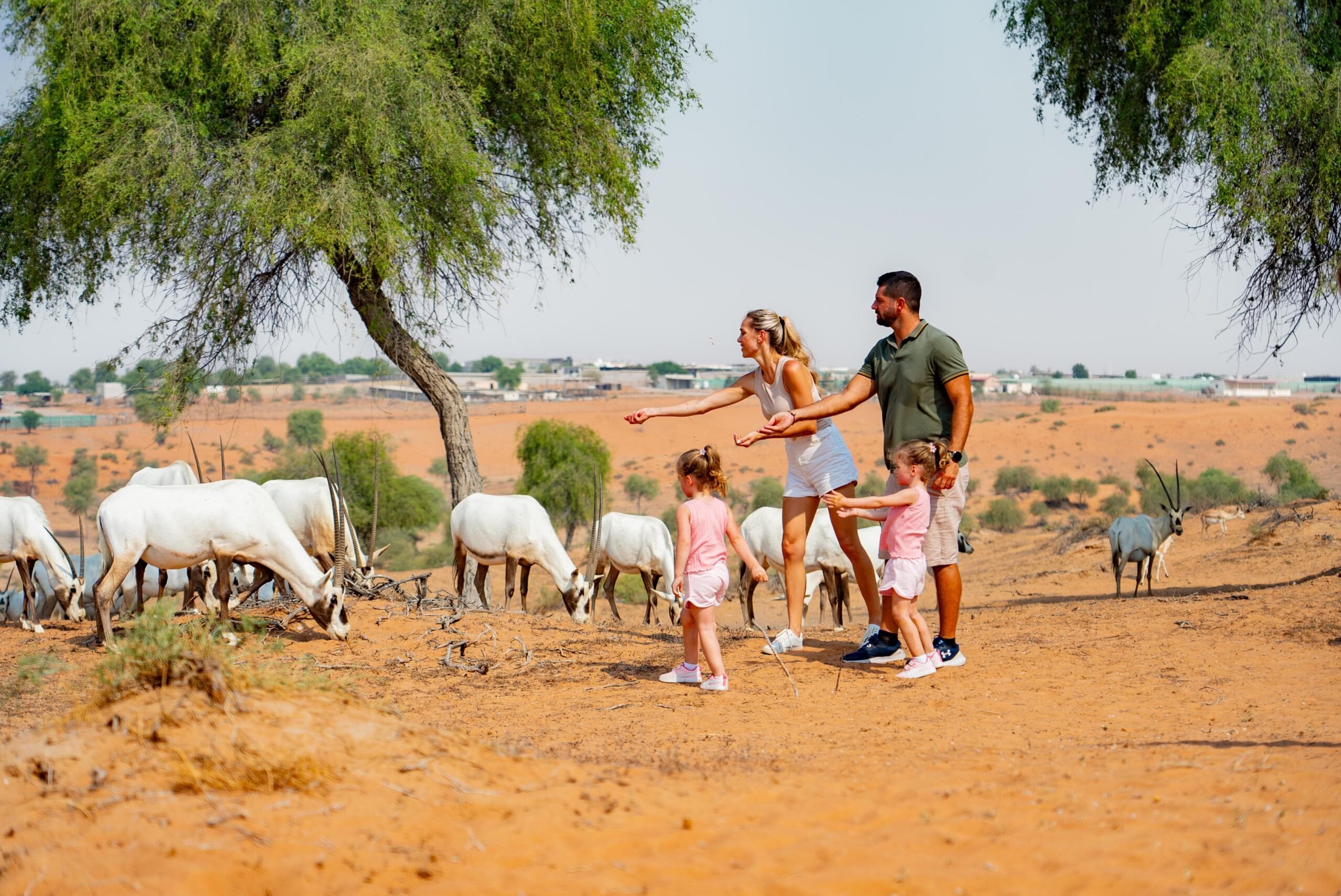Explore the Sustainable Tourism Initiatives of Ras Al Khaimah