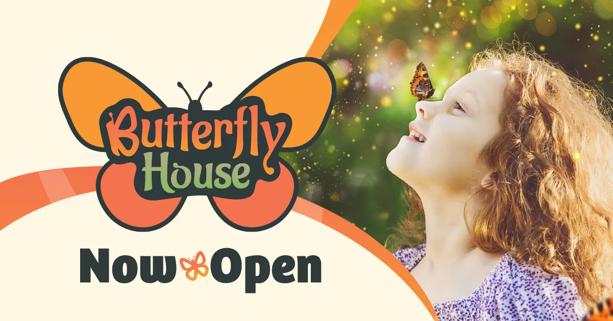 Discover the Wonder of the Butterfly House at the Creation Museum